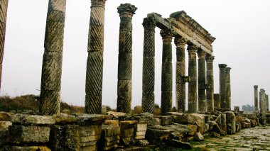 Great Colonnade at Apamea in fog, partially destroyed , Syria clipart