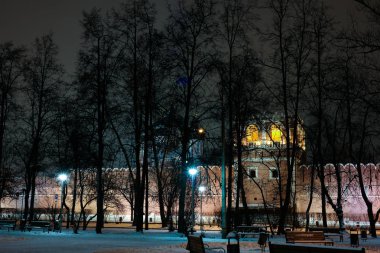 Gece kış görüntülemek için Donskoy Manastırı, Moskova, Rusya Federasyonu