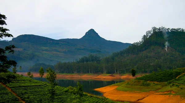 Vista panorámica al pico y lago Sri Pada con plantación de té, Nuwara Eliya, Sri Lanka —  Fotos de Stock