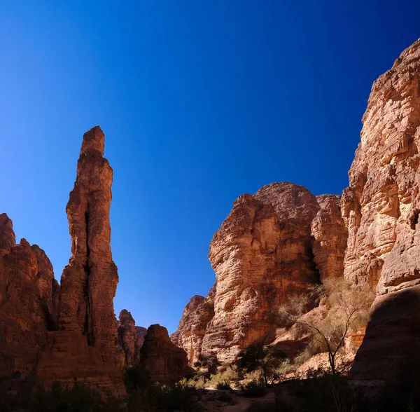 Essendilene、タッシリ najjer 国立公園、アルジェリアで奇怪な岩の形成 — ストック写真