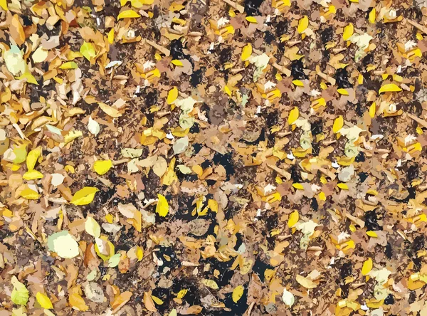 Feuilles d'automne sur le trottoir. — Image vectorielle