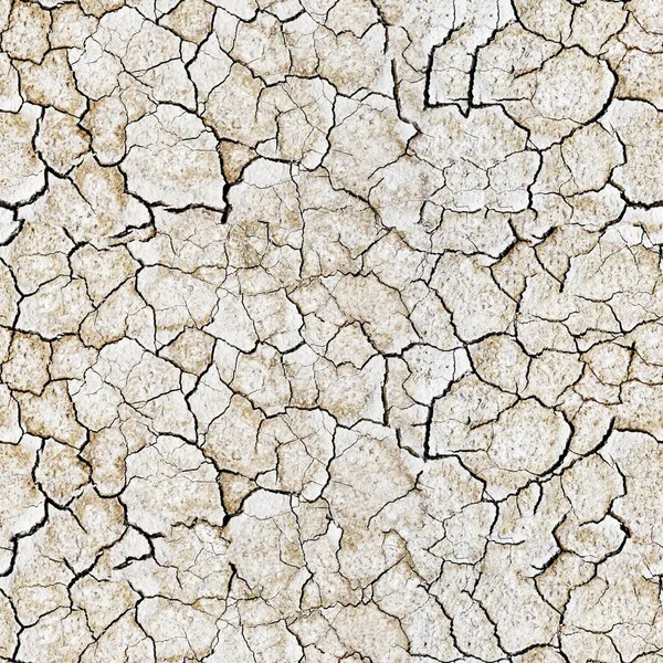 Terre fissurée texture transparente — Photo