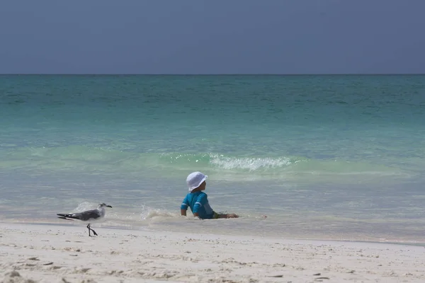 Niño y gaviotas en la orilla del mar tropical —  Fotos de Stock