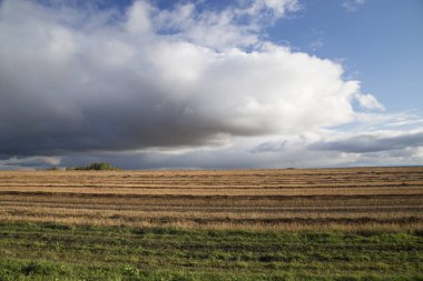 Görebilsin eğimli alan
