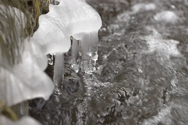 Eiszapfen auf einem Springbach. — Stockfoto