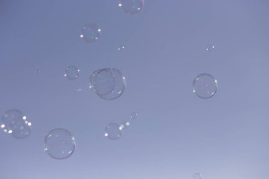 Sabun köpüğü güneş ışığı altında