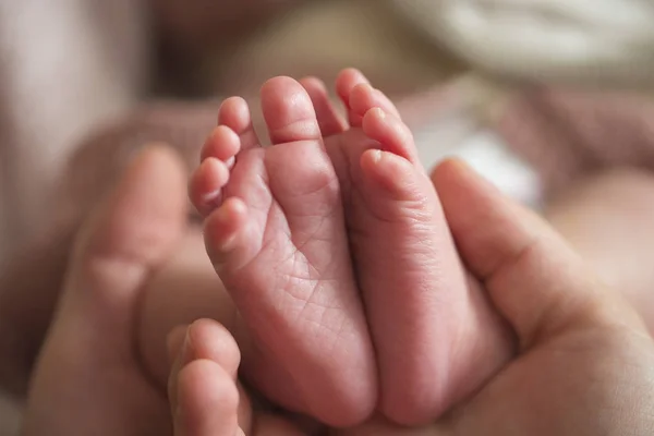 Feet of newborn baby in parents hands.