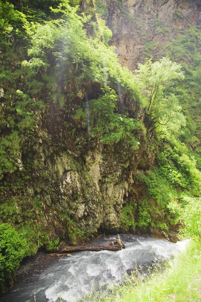 El río de montaña fluye en un profundo barranco . —  Fotos de Stock