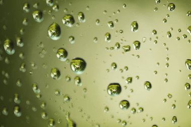 Damla camına. Her d Bahçedeki ağaçların yansıması