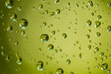 Damla camına. Her d Bahçedeki ağaçların yansıması