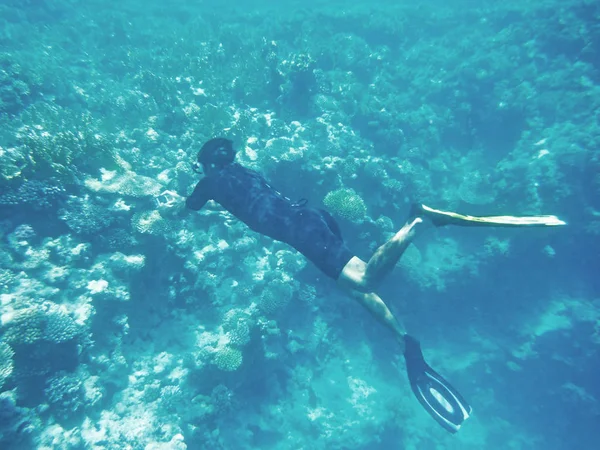 Buceador navegando bajo el agua fotografiando un arrecife de coral y peces . —  Fotos de Stock