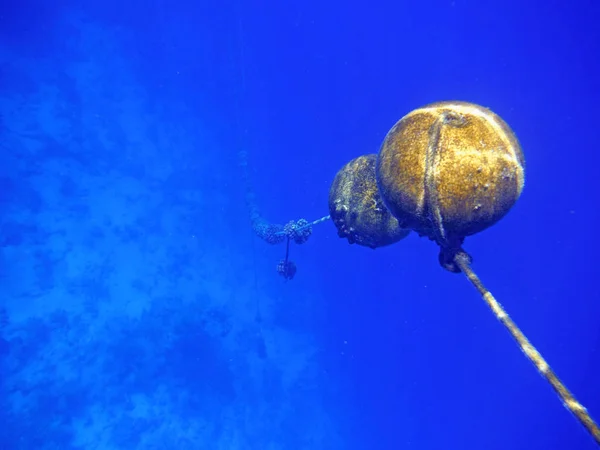 Bojar knuten på repet som lämnar djupt in i havet. — Stockfoto