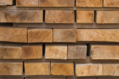 Ahşap Komiteler dizilir.