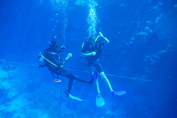 Hombres buceadores buceando bajo el agua desde un arrecife de coral en la Red S —  Fotos de Stock