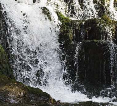 Bir kayaya yeşil yosun ile şelale .