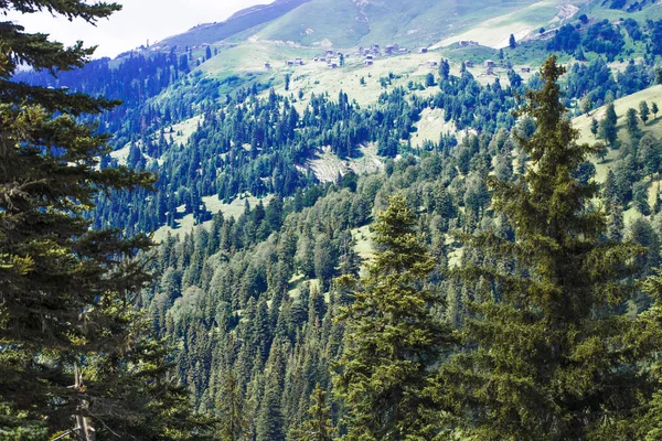 Dağlarda kırsal ev. 