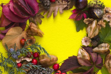 Sonbahar natürmort yatay bir yüzeye.