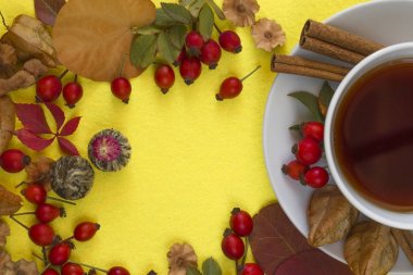 Sonbahar yaprakları ve meyve ile çevrili çay. 