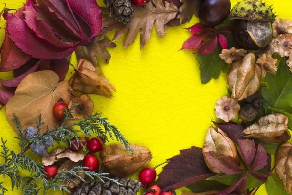 Sonbahar natürmort yatay bir yüzeye.