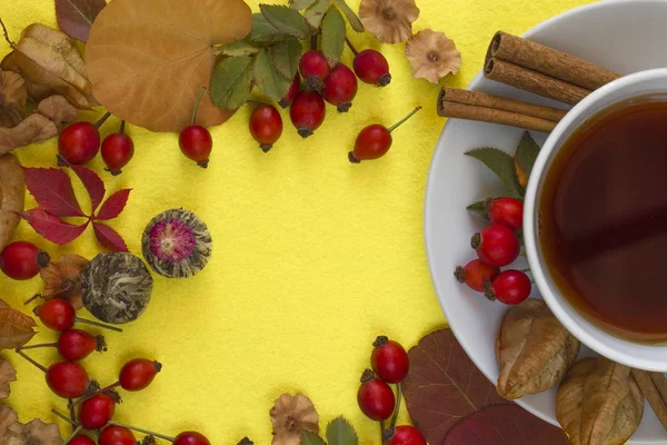 Sonbahar yaprakları ve meyve ile çevrili çay. 