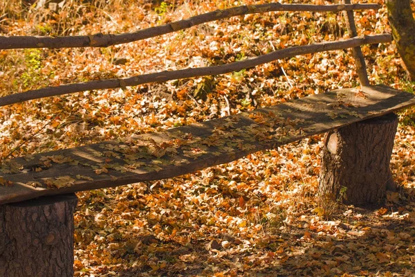 Parktaki eski tezgah düşmüş yaprakları ile kaplıdır. 