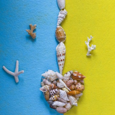 Mavi sarı bir arka plan üzerinde deniz kabuklarını soyutlama. 