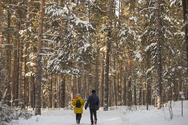 Jovem casal passeando pela floresta de inverno — Fotografia de Stock