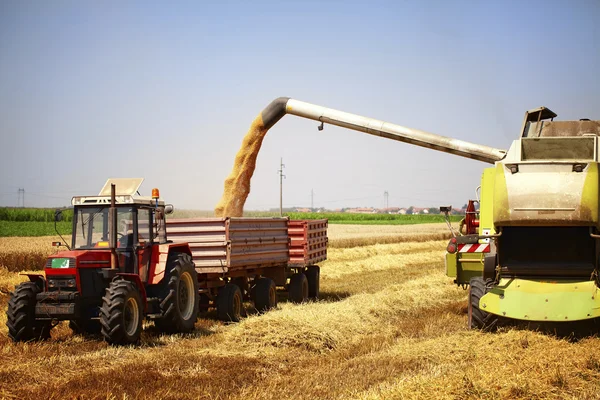 Combinar colheitadeira no campo de trigo — Fotografia de Stock