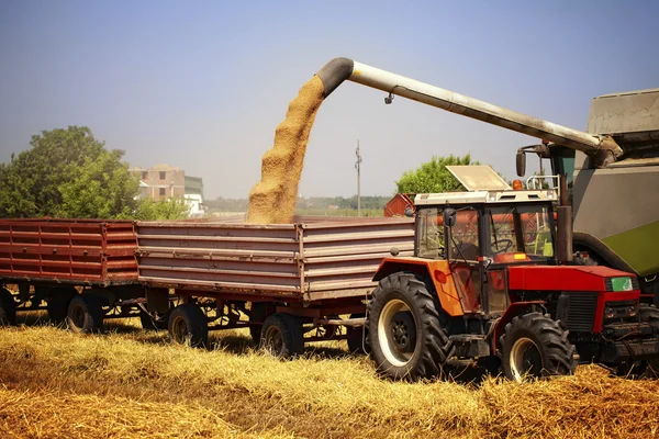 Maaimachine aan het tarweveld combineren — Stockfoto