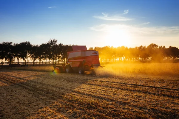 Trekker ploegen tijdens zonsondergang — Stockfoto