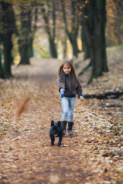 kız ile Fransız bulldog köpek yavrusu yürüyüş