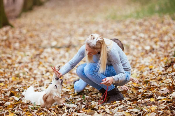 Young woman with dog — Stock Photo, Image