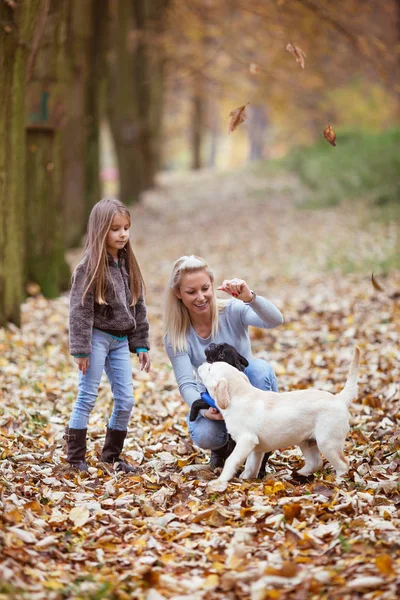 Mère et fille avec des chiens — Photo