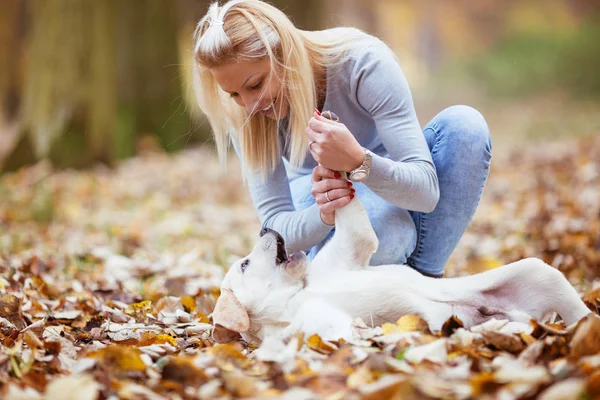 Young woman with dog — Stock Photo, Image