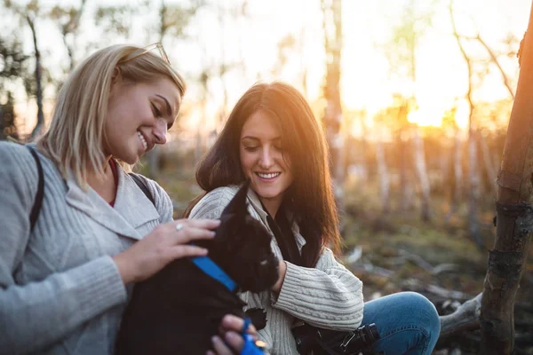 Women with French bulldog puppy — Stock Photo, Image