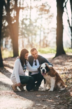 Çift ve onların köpek ormandaki