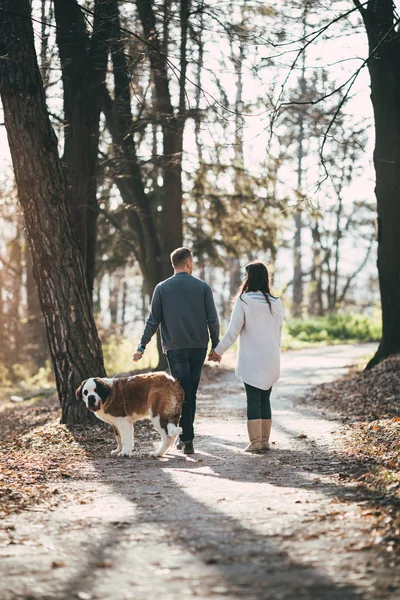 Casal e seu cão na floresta — Fotografia de Stock