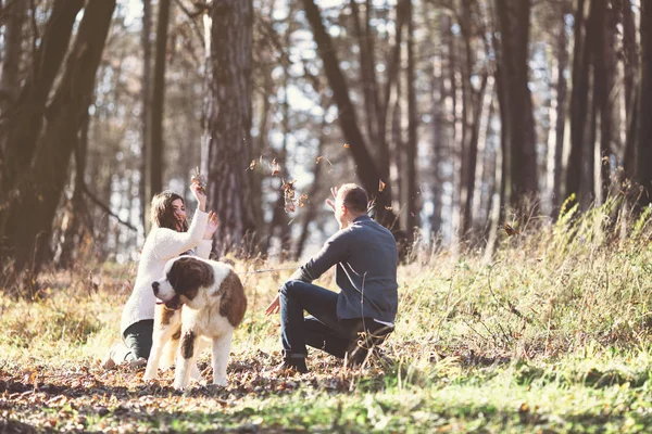 Casal e seu cão na floresta — Fotografia de Stock