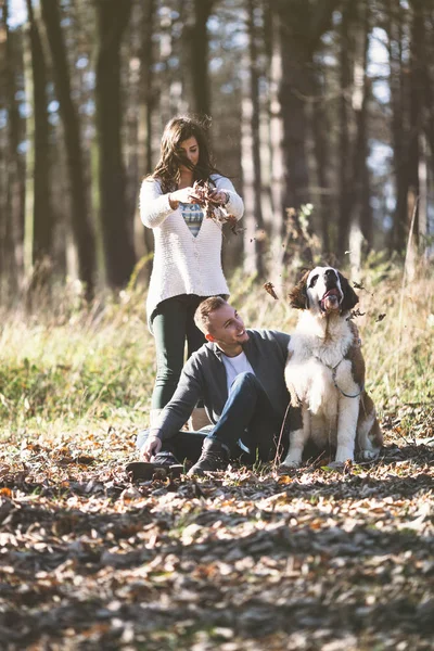 Casal e seu cão na floresta — Fotografia de Stock