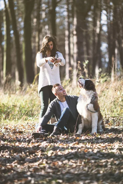 Casal e seu cão na floresta — Fotografia de Stock