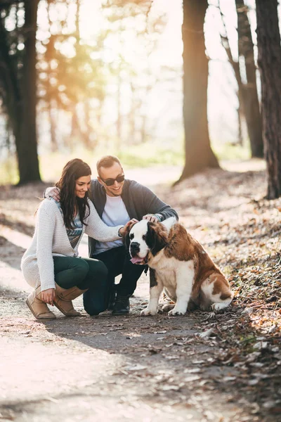 Casal e seu cão na floresta — Fotografia de Stock