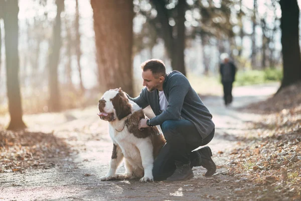 Man and Saint Bernard puppy in forest — Stock Photo, Image