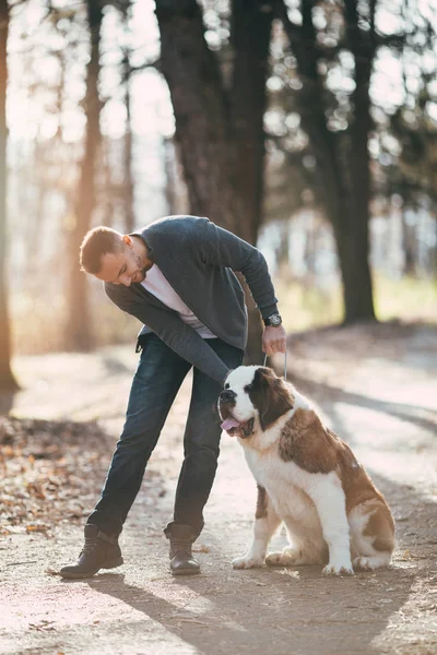 Homem e São Bernardo cachorrinho na floresta — Fotografia de Stock