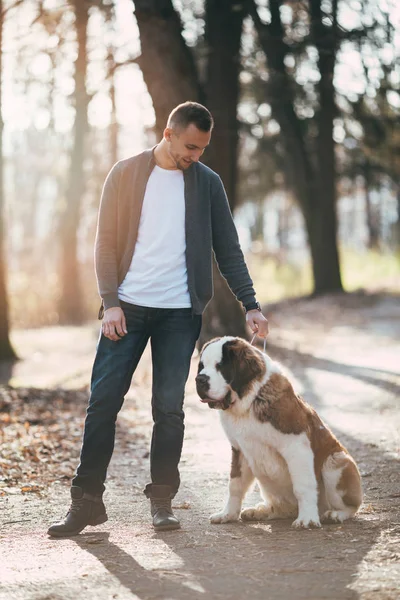 Homem e São Bernardo cachorrinho na floresta — Fotografia de Stock