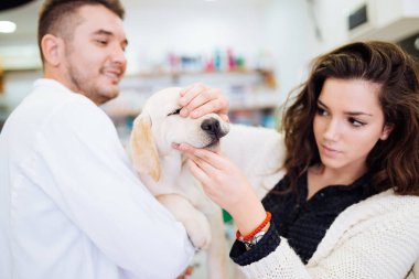 Onu köpek veteriner adlı kadınla