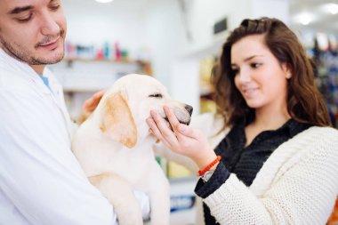 Onu köpek veteriner adlı kadınla