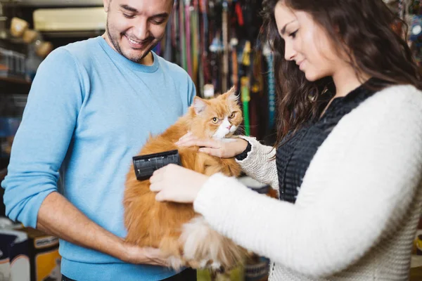 people with cat at petshop