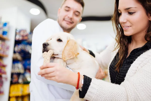 Onu köpek veteriner adlı kadınla