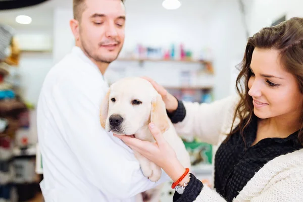 Kvinna med hennes hund på veterinär — Stockfoto
