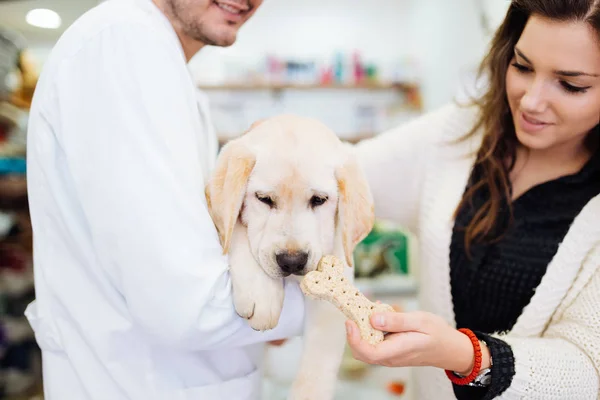Mulher com seu cão no veterinário — Fotografia de Stock